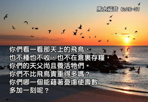 馬太福音 Gospel of Matthew