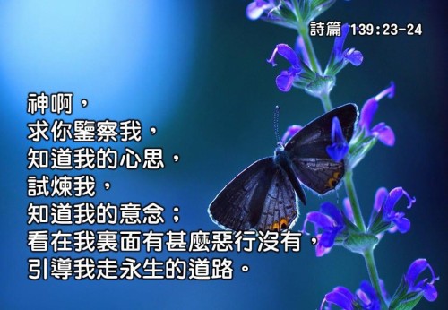 詩篇 Psalms Psalm