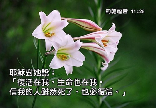 約翰福音 Gospel of John